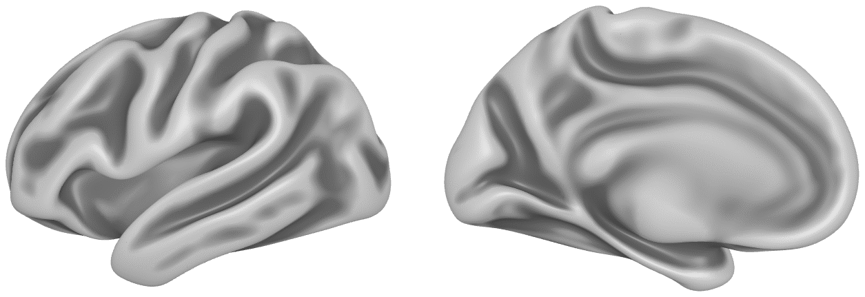 Lateral and medial views of the left inflated hemisphere in grey, with sulci darker than gyri