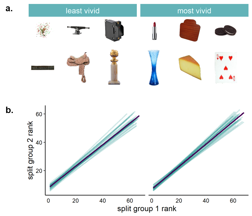 Figure from the Vividability project